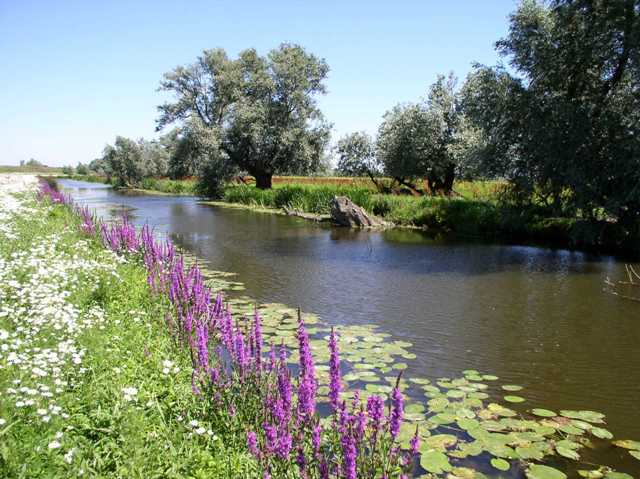 River Delph