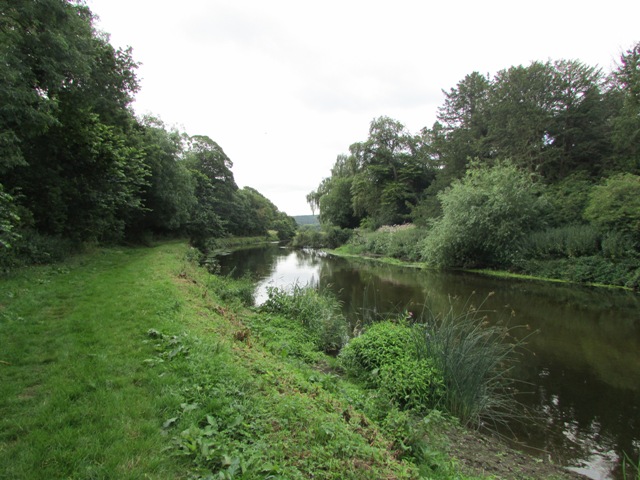 River Trent at Shugborough