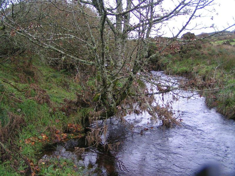 Photograph showing River Fowey at Draynes Valley