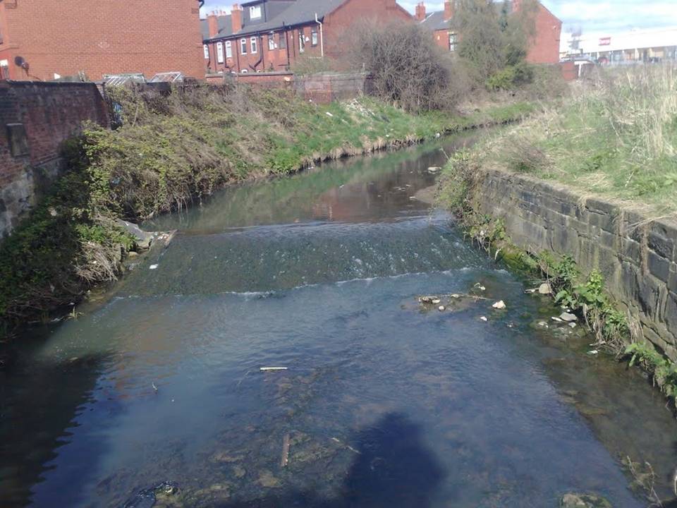 Photograph of the Westleigh Brook