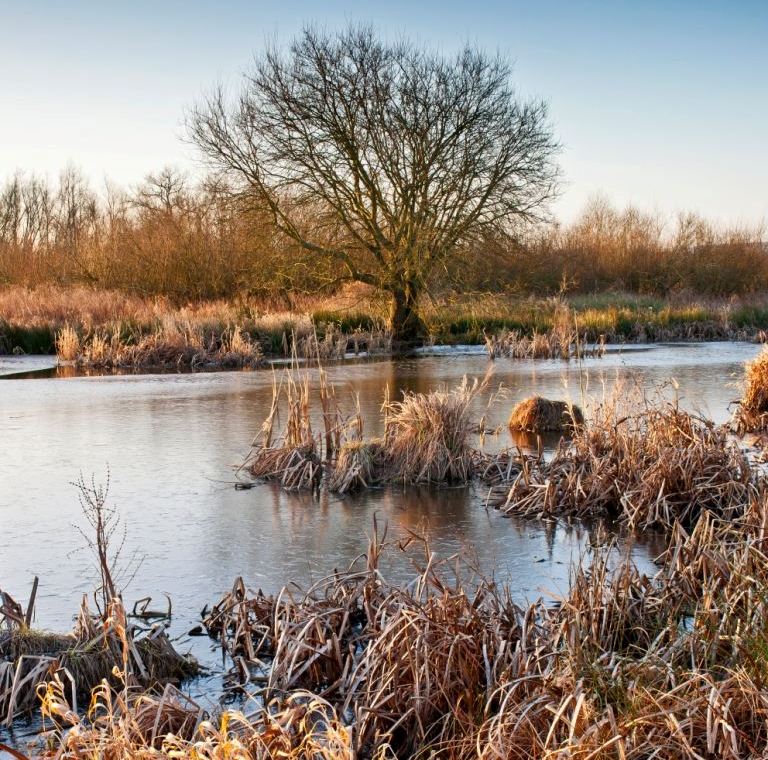 Photo of Waltham Brooks in Winter, in the Lower Arun operational catchment.