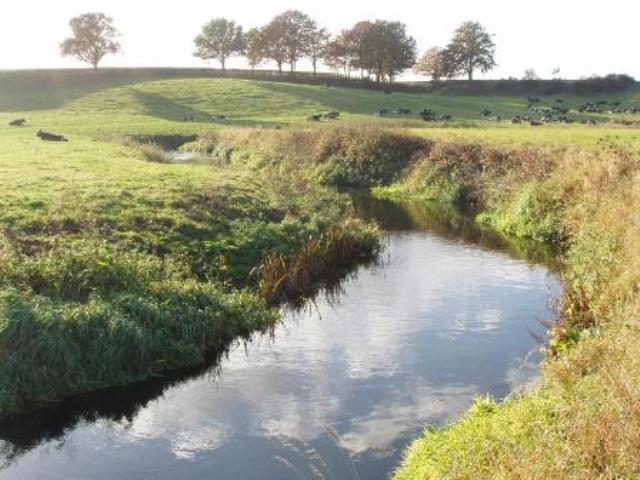 River Mease near Edingale