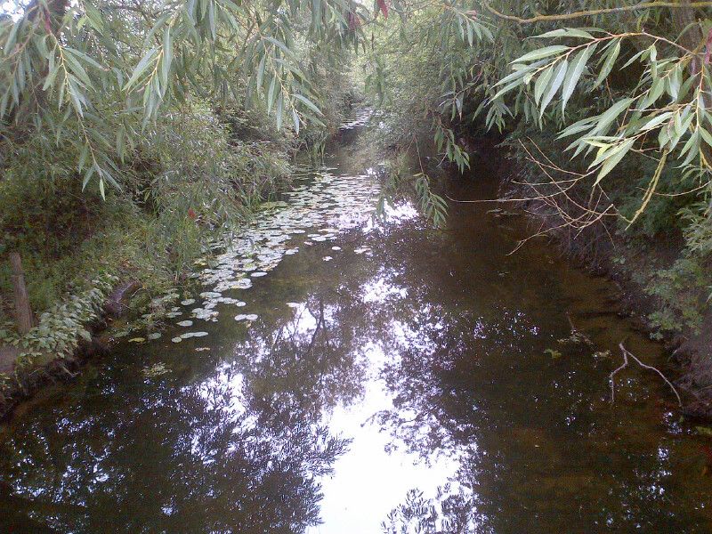 River Ray at Charlton on Otmoor