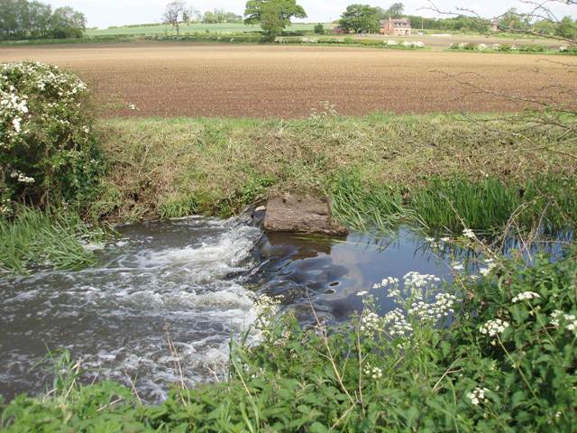 River Sence downstream of Congerstone