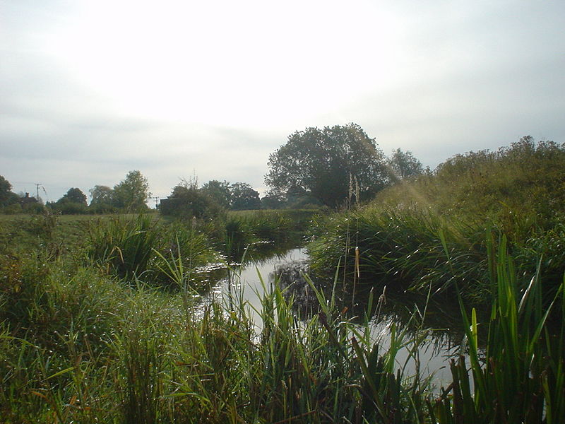 Image of the Adur catchment