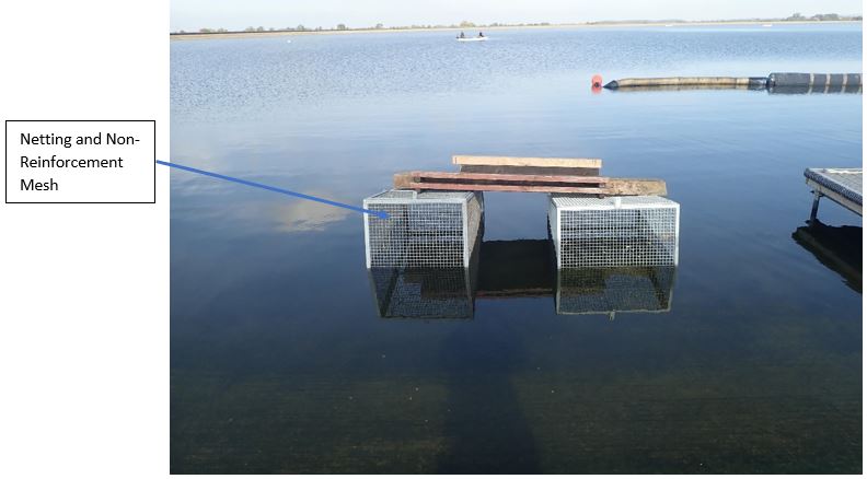 An example of a Fishing Cage.