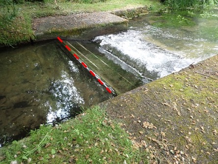An example of the Crest of a Weir.