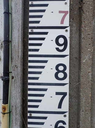An example of a Measurement Scale.