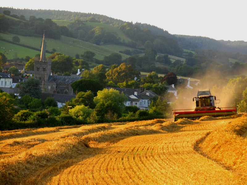 Photograph showing Sidbury Harvest