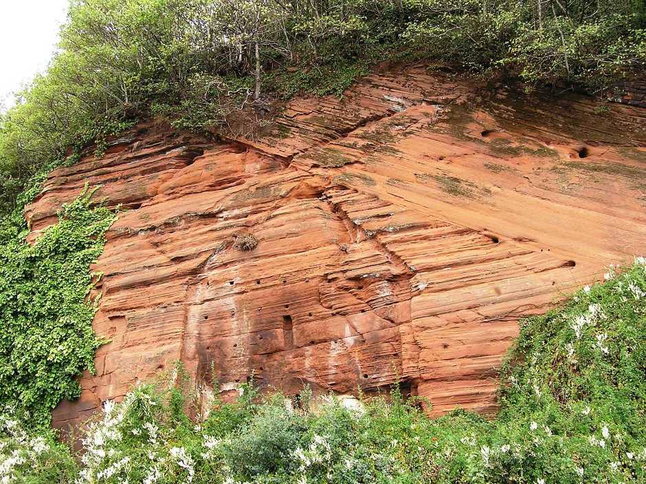 The permo-triassic sandstone of Bridgnorth