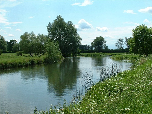 View of the river Beult SSSI