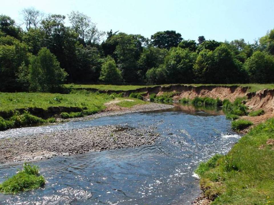 The River Bollin upstream of Wilmslow, natural river processes at work