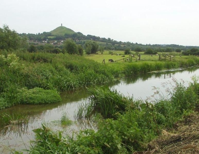 Photograph of Glastonbury Tor with river in the foreground