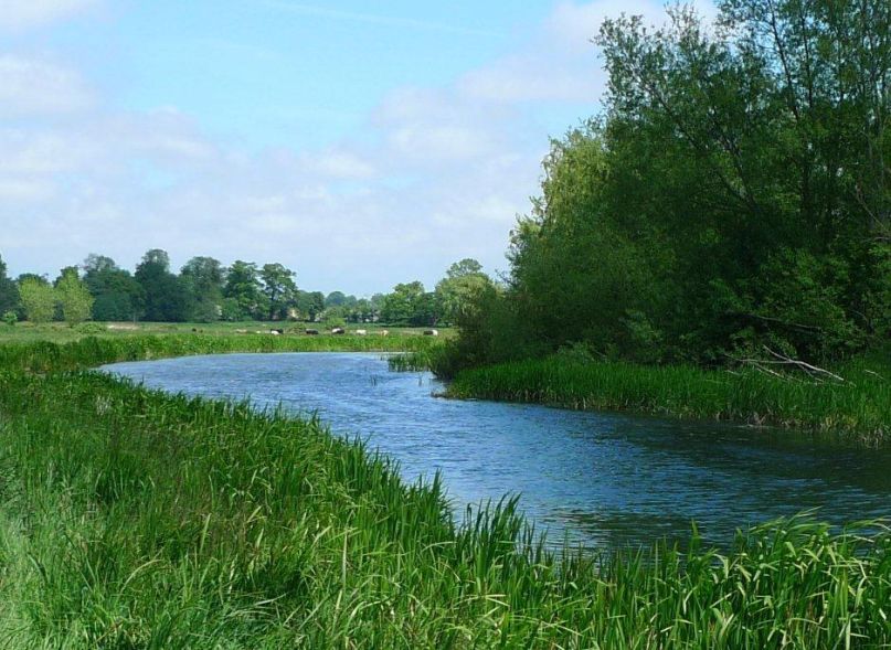 View of the River Bure at Buxton