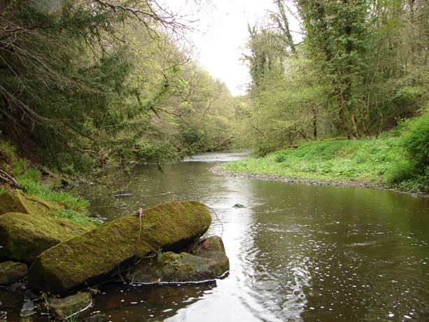 River Derwent at Lintzford