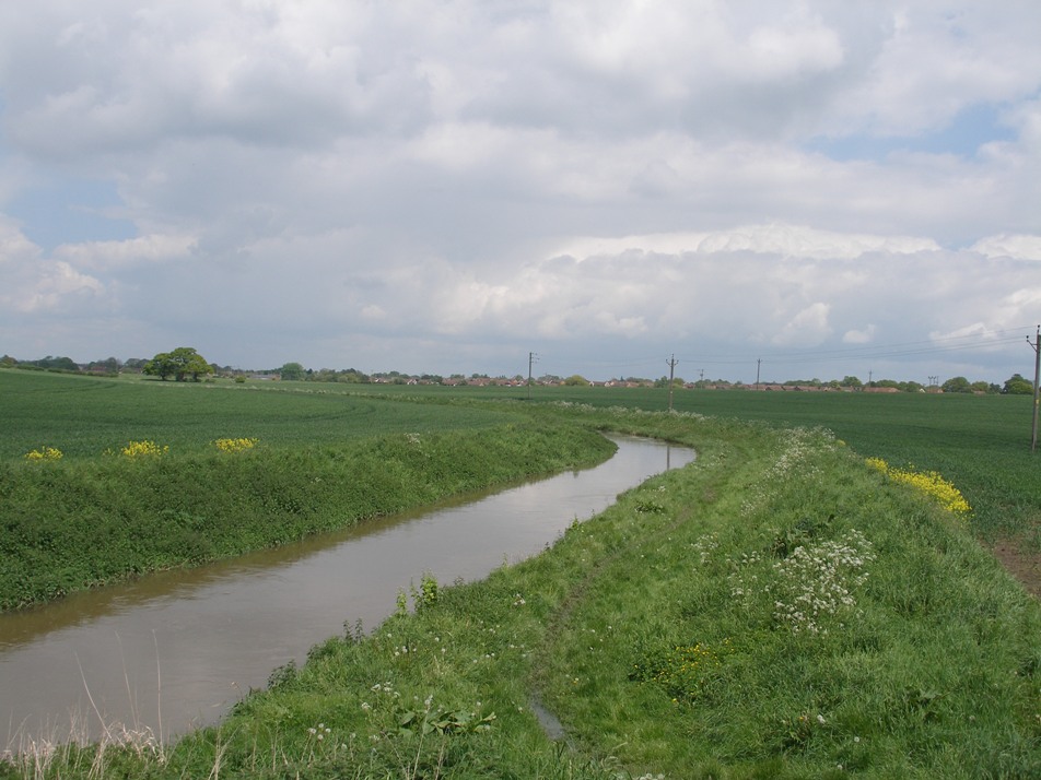 The embanked channel of the River Foss