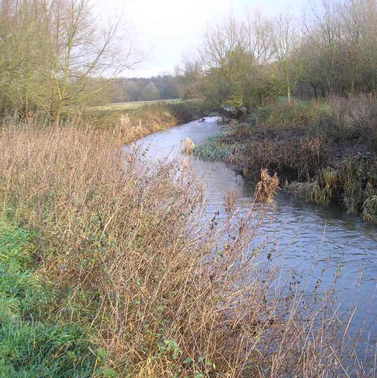 The Gipping at Pipps Ford near Needham Market