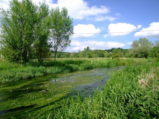 Photograph of the Hampshire Avon river