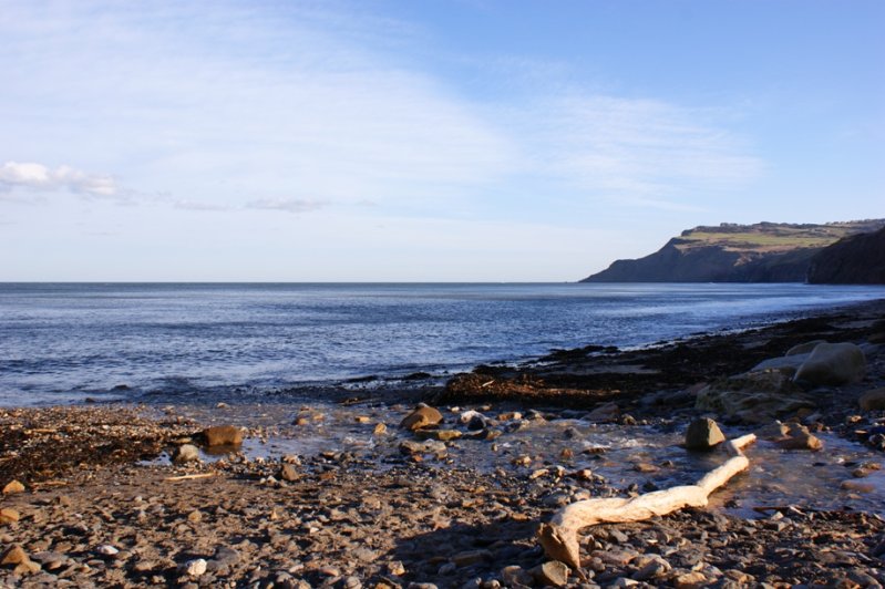 Robin Hoods Bay operational catchment
