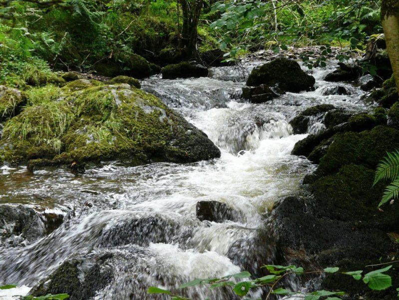 Photograph of the Horner Water river, West Somerset