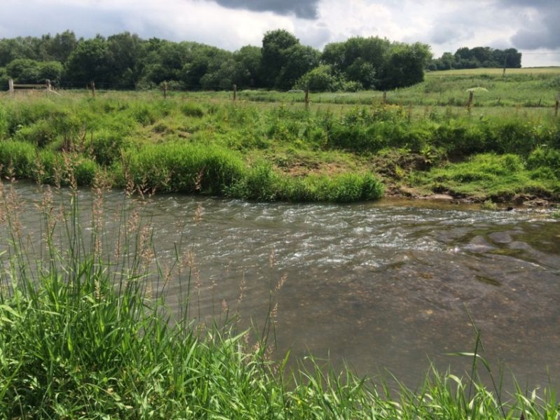 Photograph of the River Rother in West Sussex, showing the site of the Shopham Fisheries Restoration