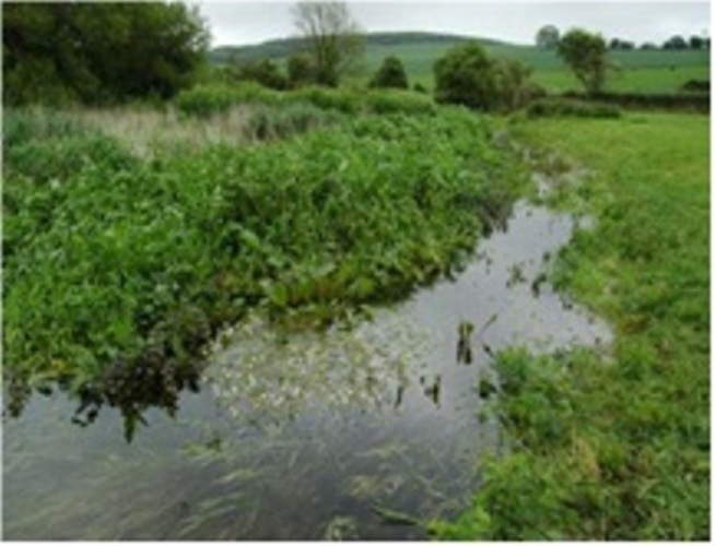 Photograph of the River Ems in West Sussex