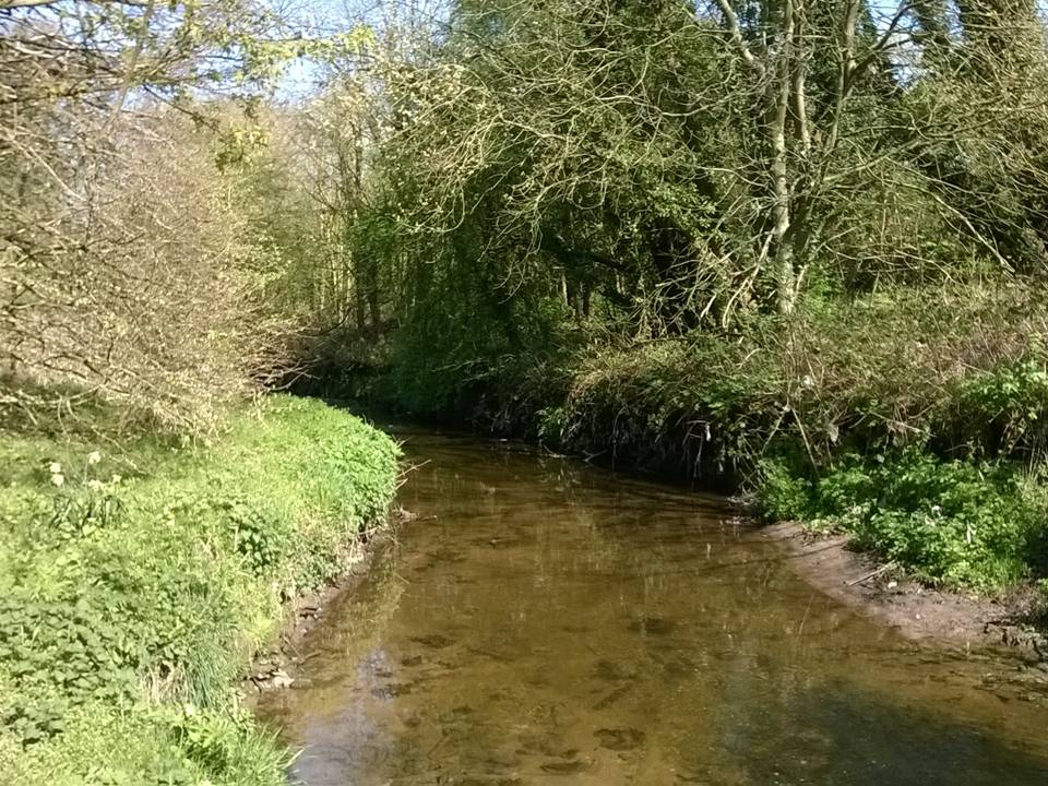 Photograph showing Rivacre Brook